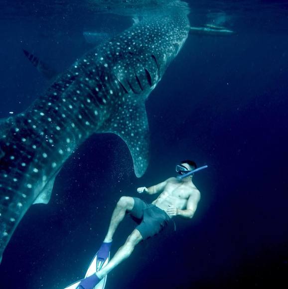 Meet your Posher, Jayme - Picture 1 of 1